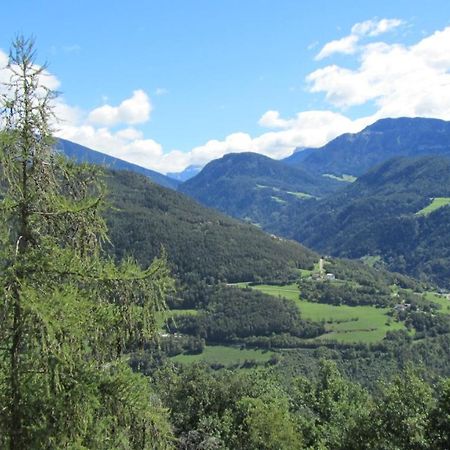 Apartmán Bio Kraeuterhof Oberpalwitter Barbiano  Exteriér fotografie