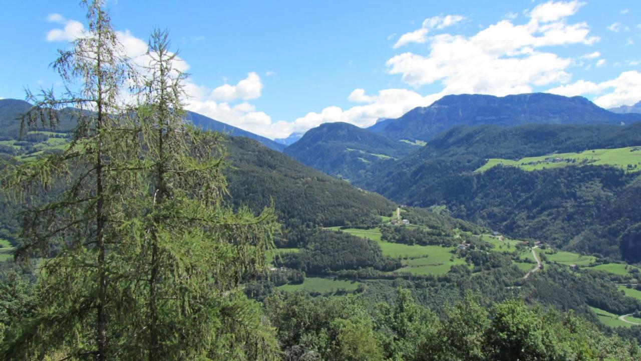 Apartmán Bio Kraeuterhof Oberpalwitter Barbiano  Exteriér fotografie